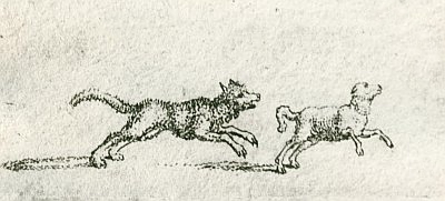 Chodowiecki und die Bartholomäusnacht - Hund jagt ein Lamm